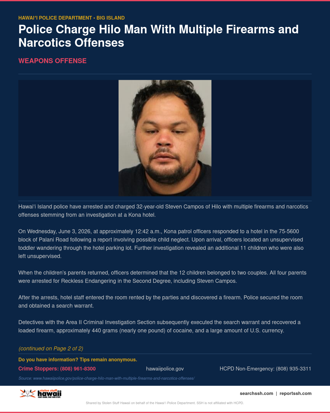 WEAPONS OFFENSE - Hawaii County | Stolen Stuff Hawaii